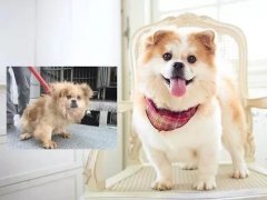 沒有誰，天生丑陋。