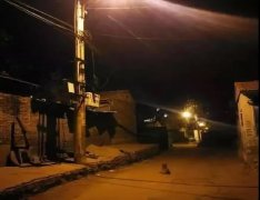 記憶中的老街巷口，有沒(méi)有一條等你回家的狗？