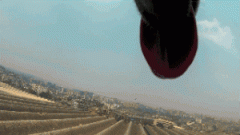 請(qǐng)你放過(guò)狗狗，不愛，但請(qǐng)別傷害！