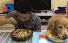 如果你家也有只吃貨狗狗，這點一定要注意！