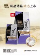 爵加新品幼貓精選上市！