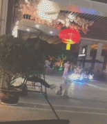 假如狗子能上網打字發圈，它會說... ?